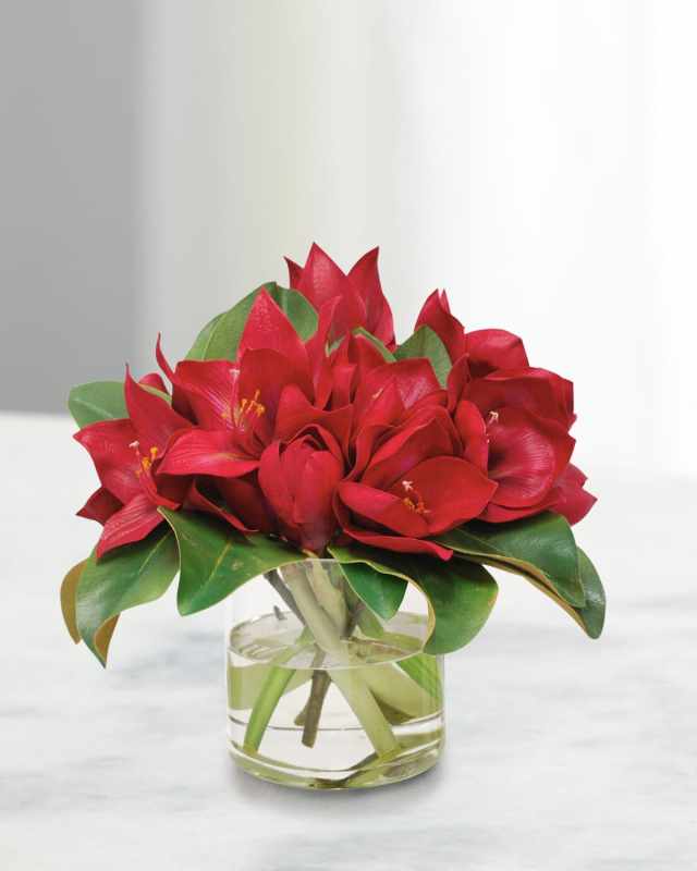 Amaryllis In Round Vase